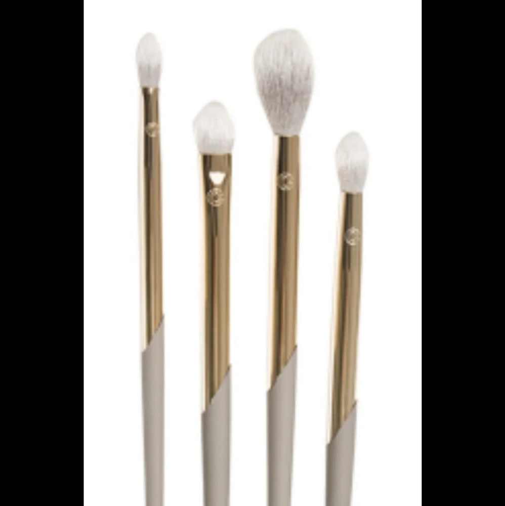 Complex Culture 4 piece Professional Brush set